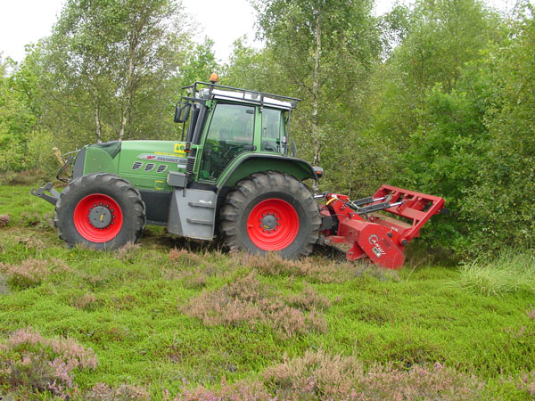 Grenknusning i skov